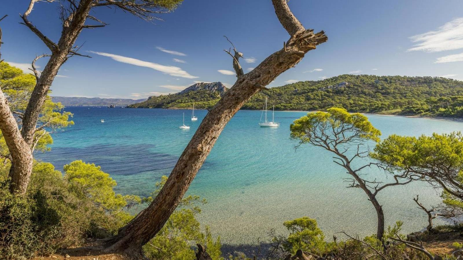 Calme Et Confort En Rez-De-Jardin La Londe-les-Maures Exterior foto